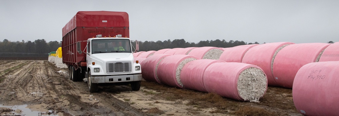 Cotton and textile products for regional trade
